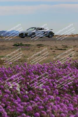 media/Jan-08-2023-SCCA SD (Sun) [[8f6a5b9391]]/Advanced Group/Session 2 (Short Straight)/